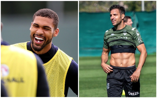 Loftus-Cheek-Fabregas-troll
