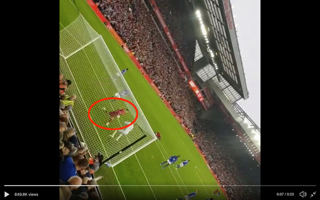 Video-Lallana-reaction-to-Milner-penalty