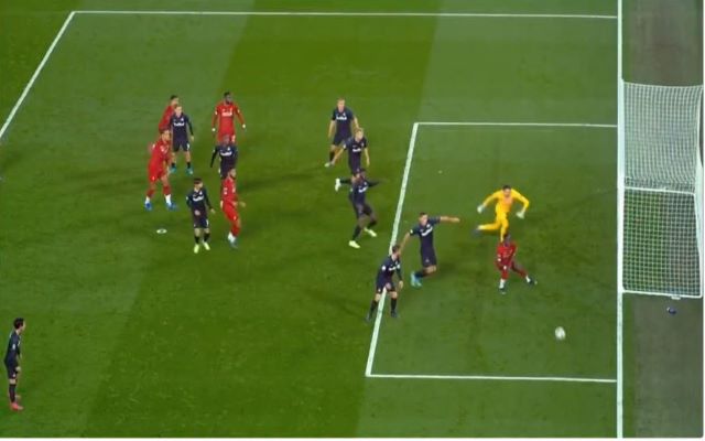 mane-miss
