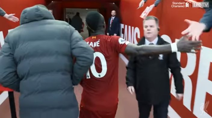 mane-video