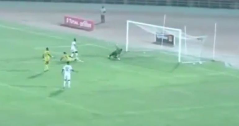 naby keita goal video guinea