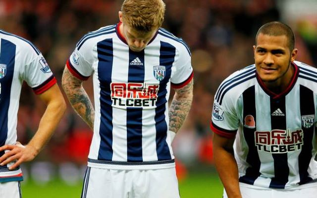 mcclean-poppy