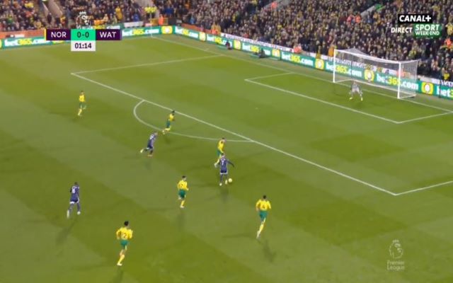 watford-goal