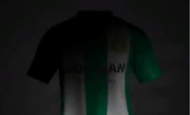 zlatan-hammarby