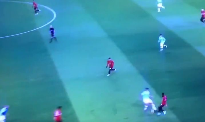 fred-nutmeg-video