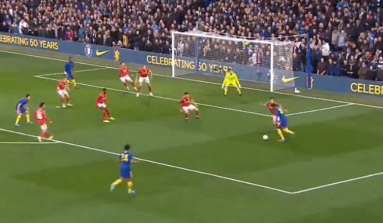 cho-goal-forest