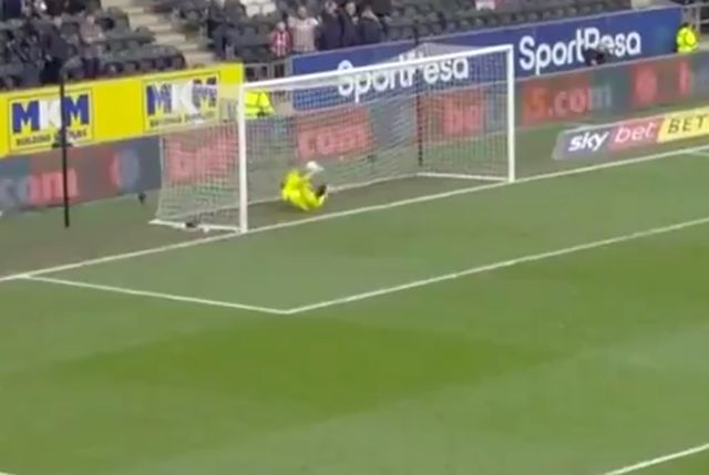 David-Raya-howler-Hull-Brentford