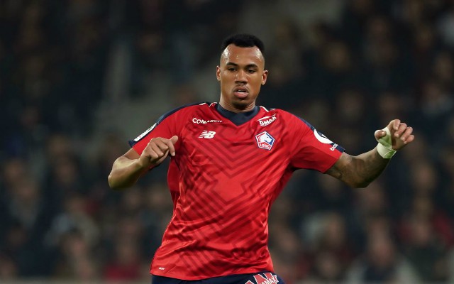 lille defender gabriel