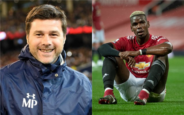pochettino pogba