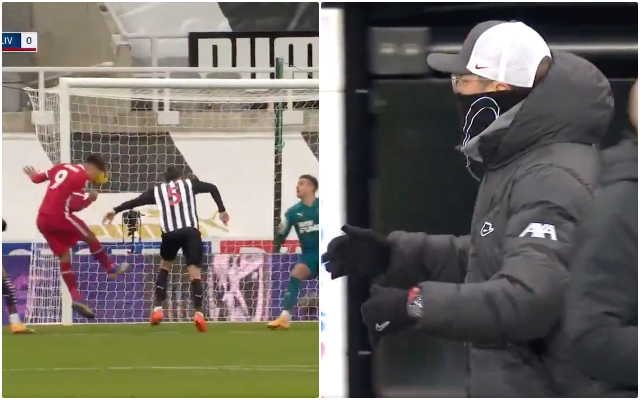 Video - Firmino misses header chance for Liverpool vs Newcastle and Klopp reaction
