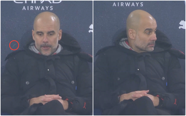 Video - Guardiola looks empty and blank on Man City bench vs Brighton