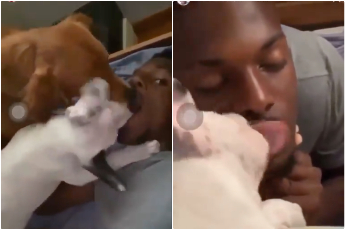 Video - Nuno Tavares kissing dogs video