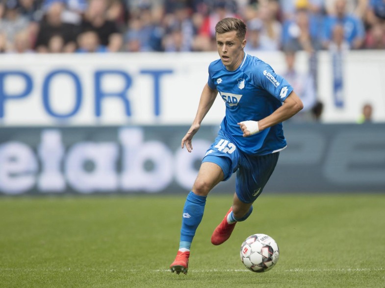 baumgartner hoffenheim