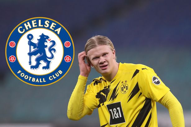 chelsea haaland