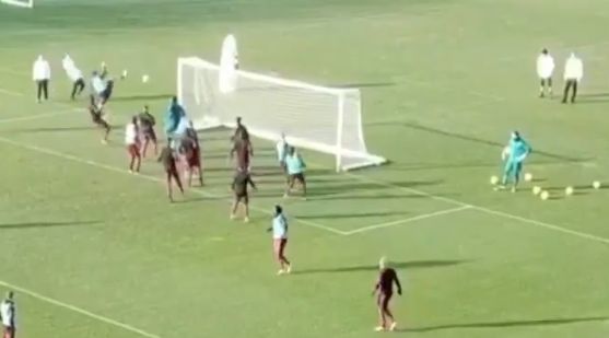 ibra ninja