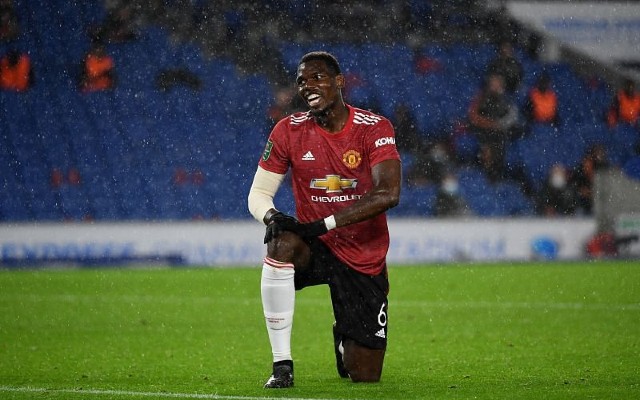 pogba knee