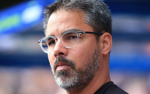 david wagner