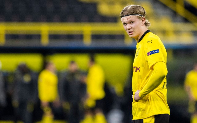 erling haaland