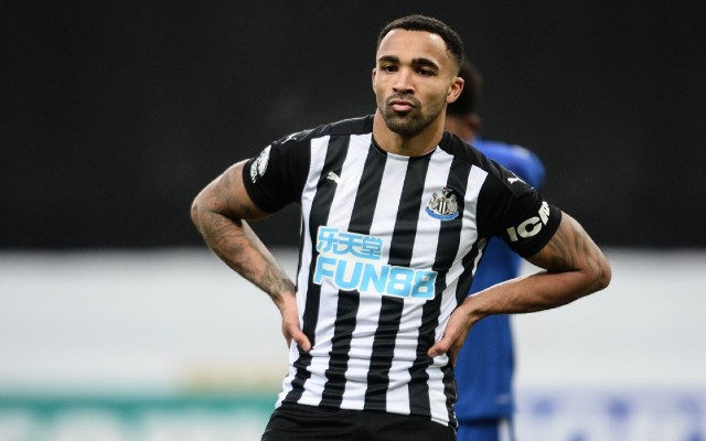 callum wilson newcastle united
