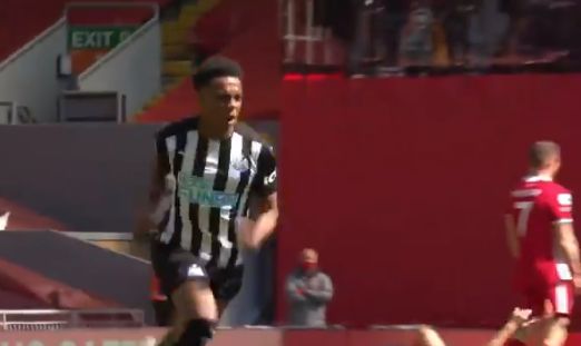willock celebrates