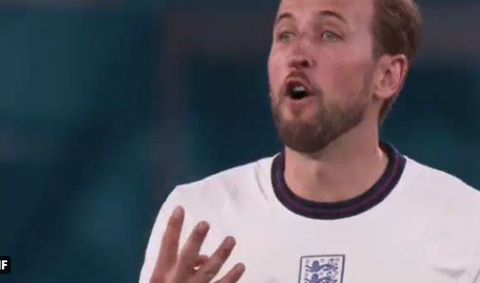 kane message to southgate gif