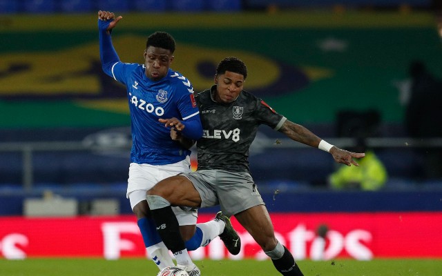 small efc