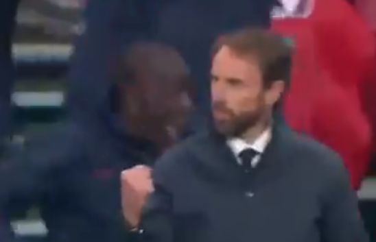 southgate goal celebration