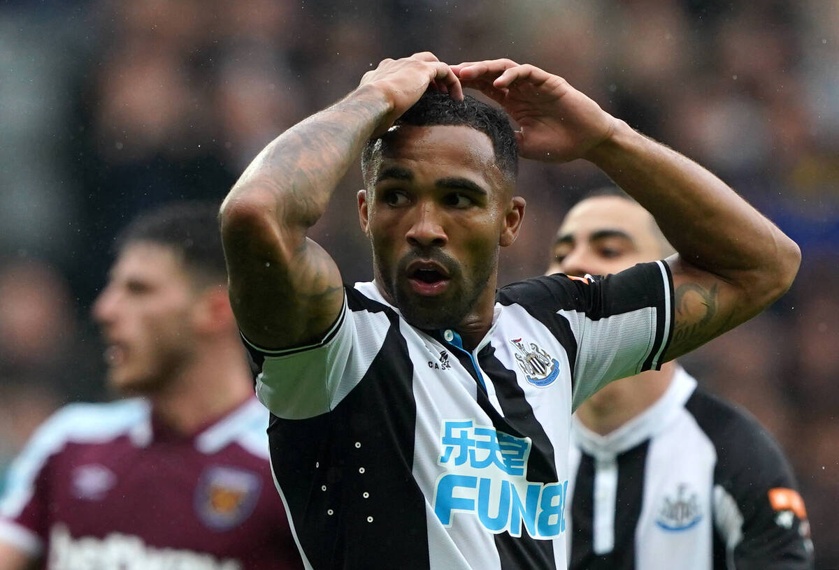 callum wilson newcastle united