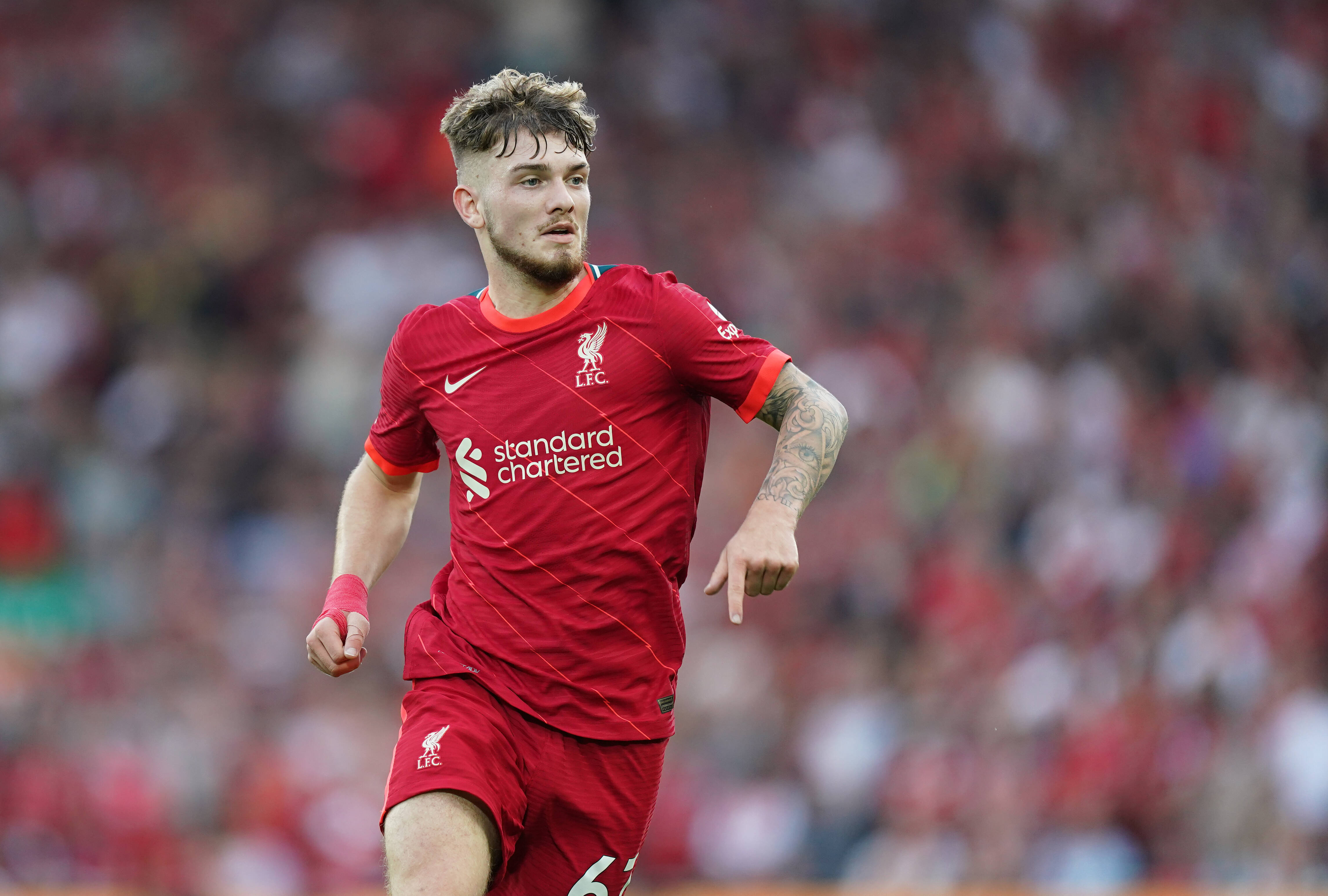 Harvey Elliott of Liverpool