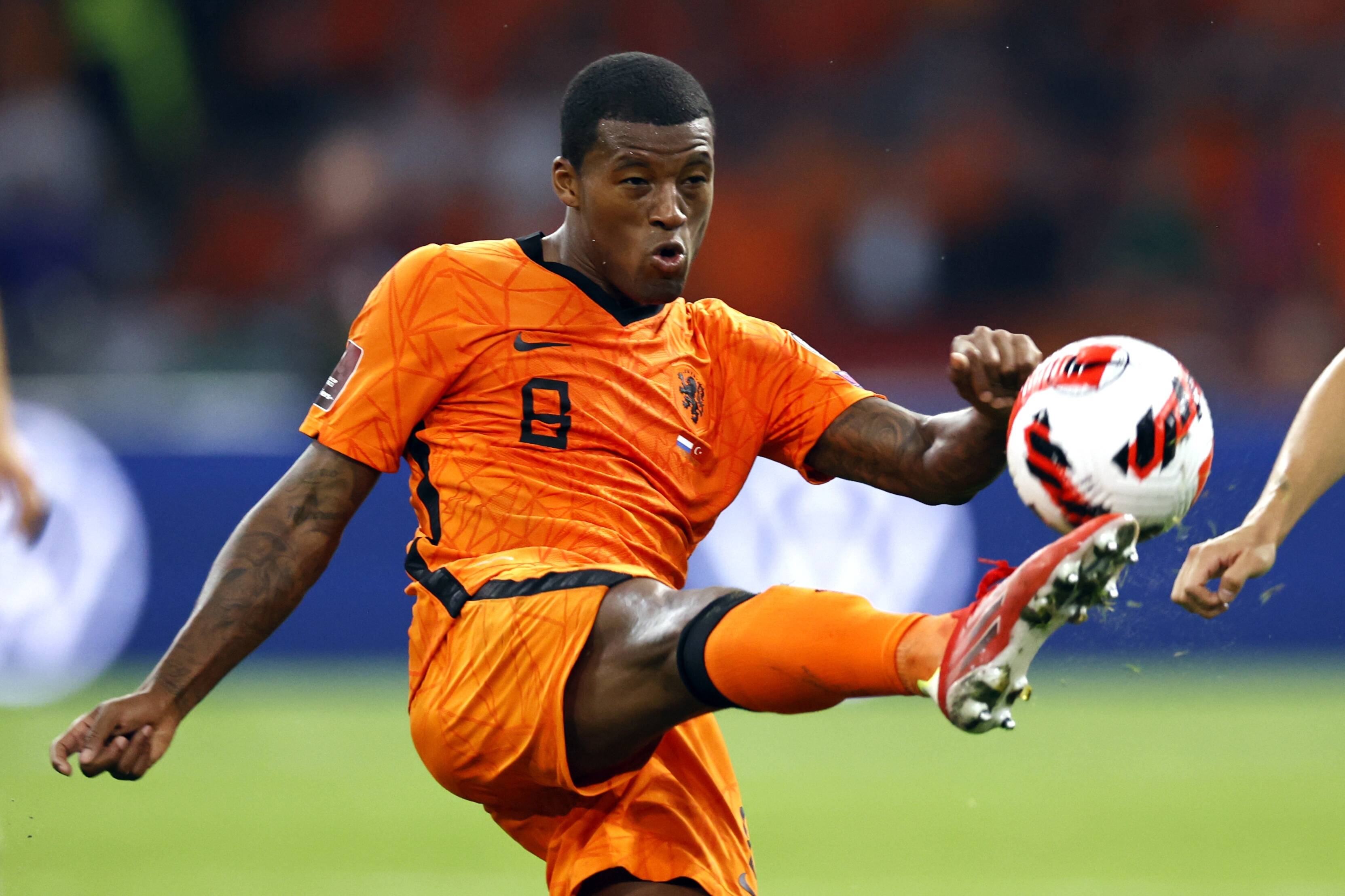 Georginio Wijnaldum