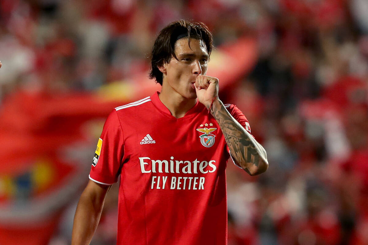 darwin nunez benfica