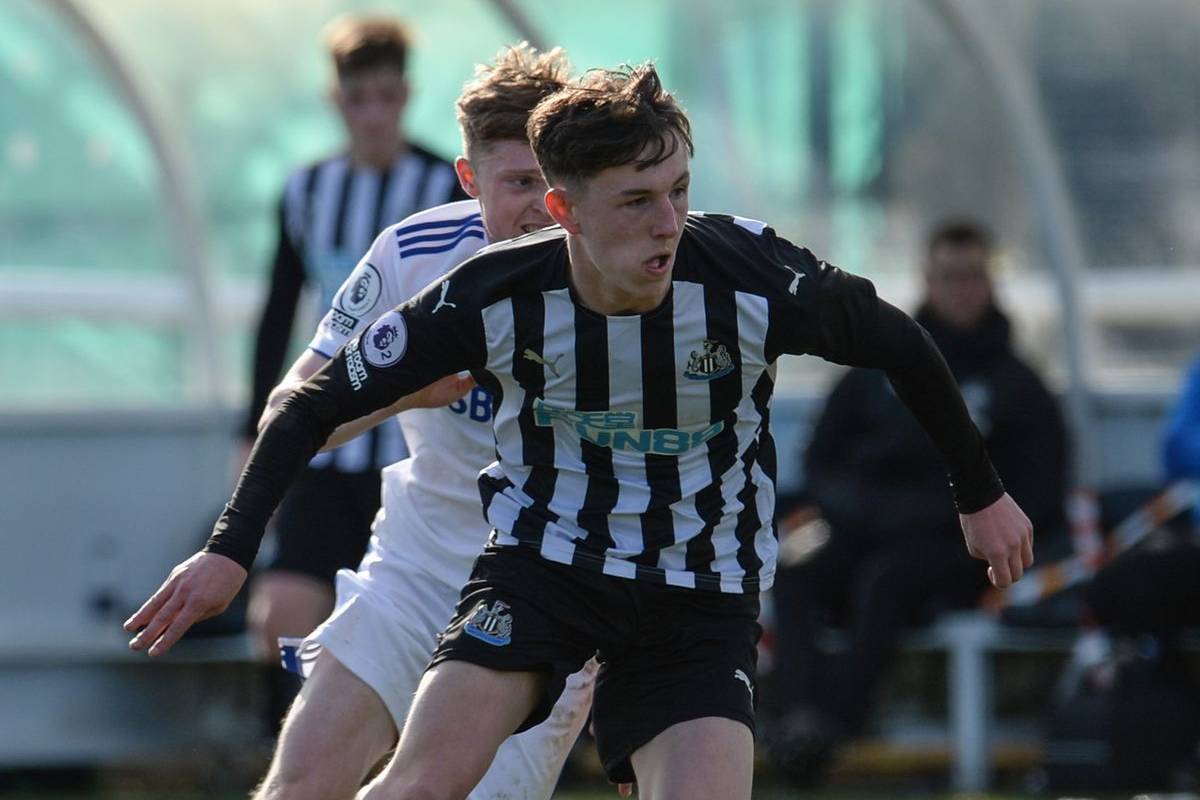 dylan stephenson newcastle dylan stephenson newcastle