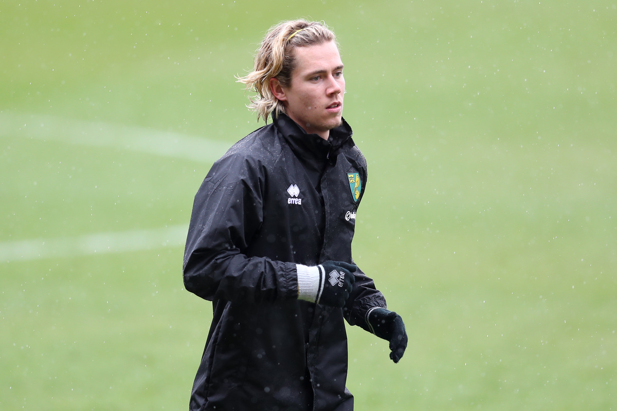 todd cantwell norwich city
