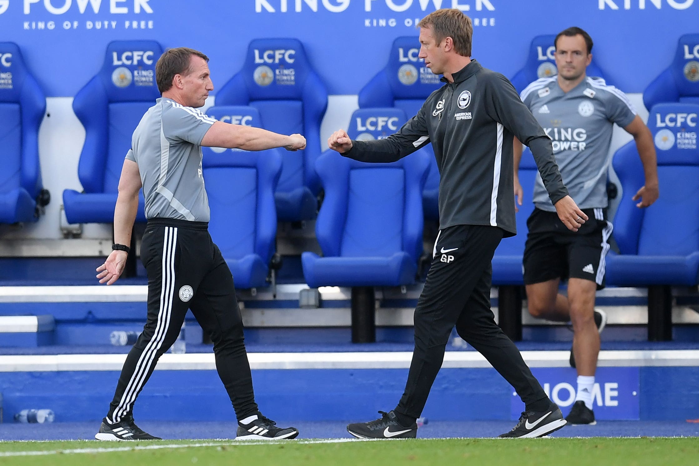 rodgers potter
