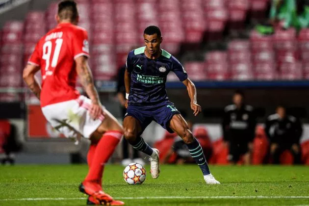 Benfica PSV Cody Gakpo