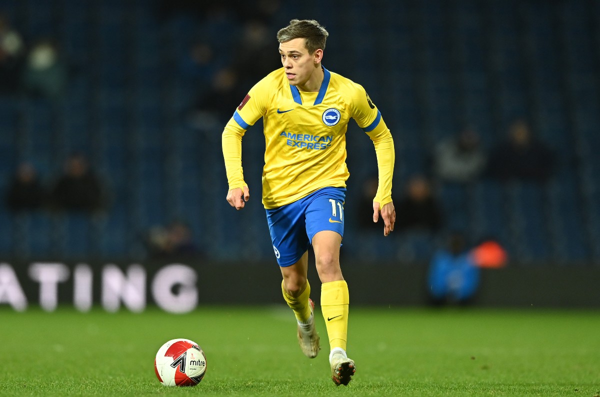 trossard brighton