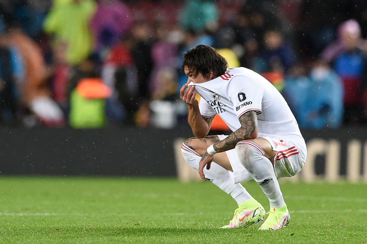 darwin nunez benfica