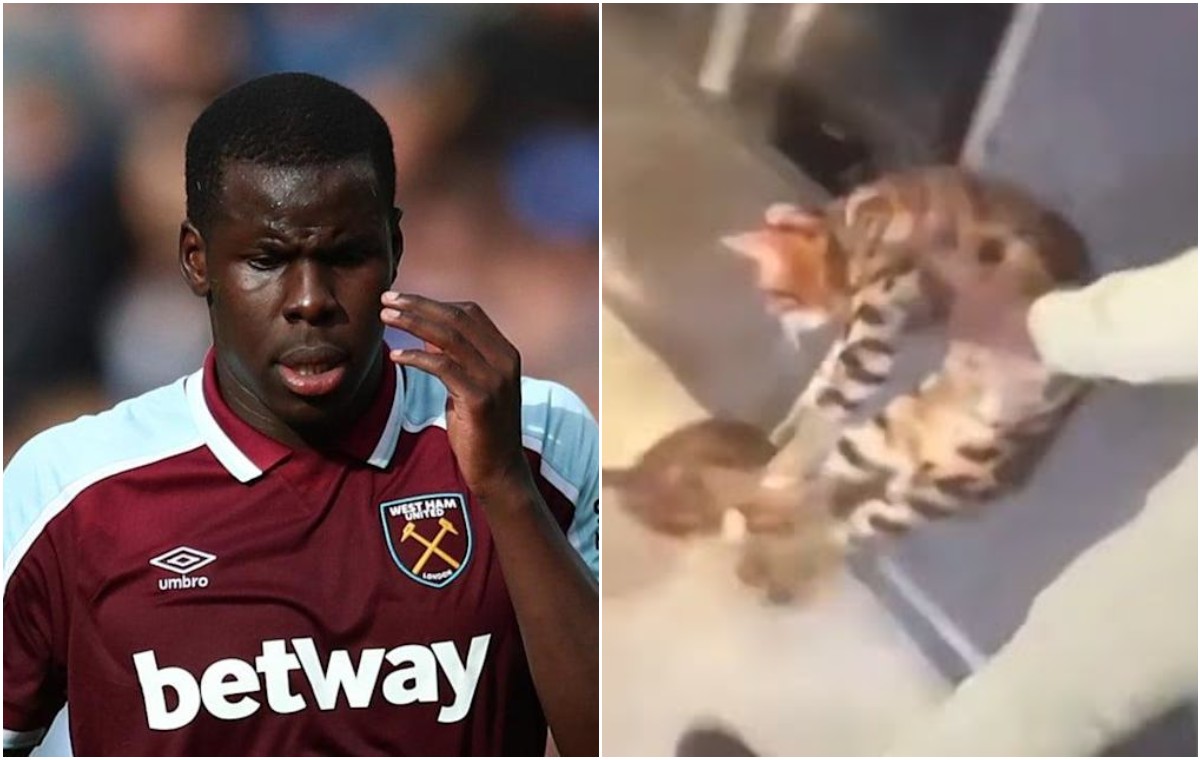 kurt zouma west ham cat