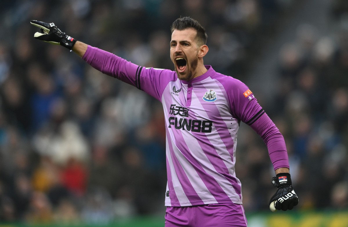 newcastle goalkeeper dubravka newcastle goalkeeper dubravka