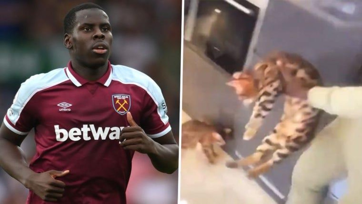 zouma cat west ham united