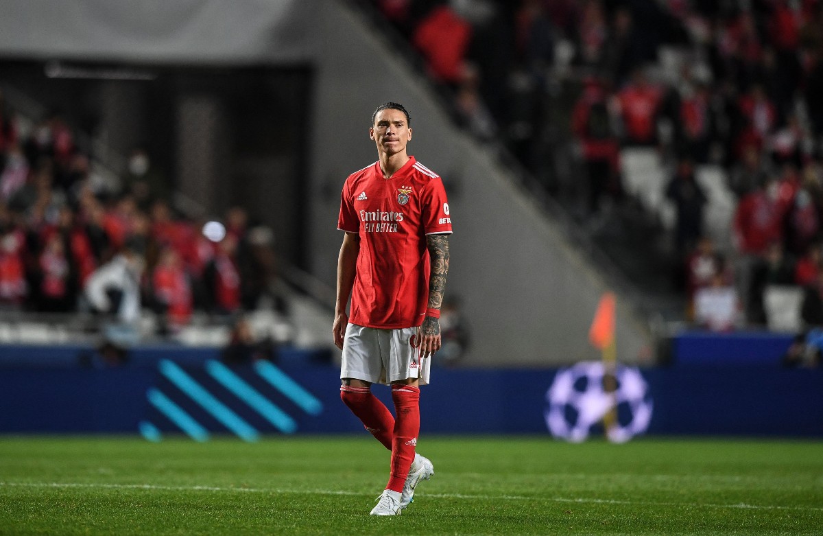 benfica striker darwin nunez