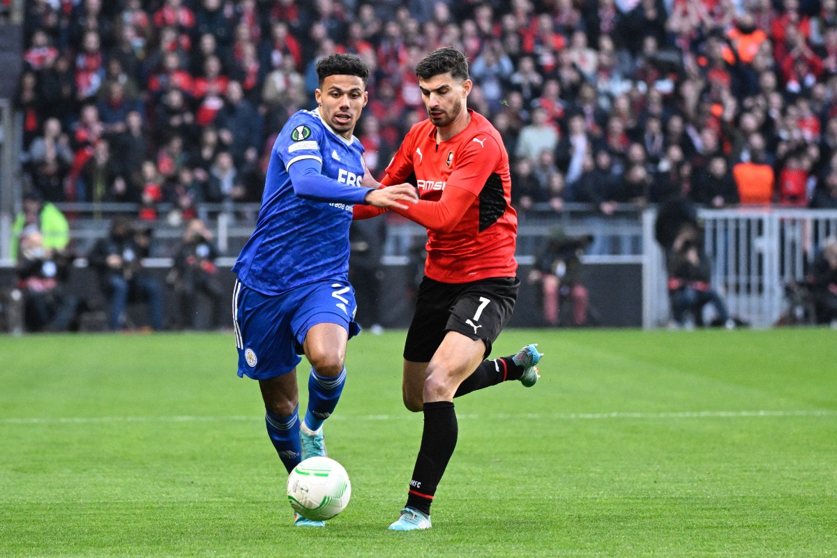 Rennes Leicester Terrier