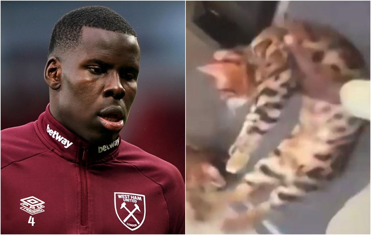 kurt zouma cat