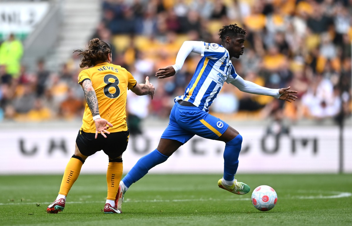 wolves vs brighton ruben neves yves bissouma