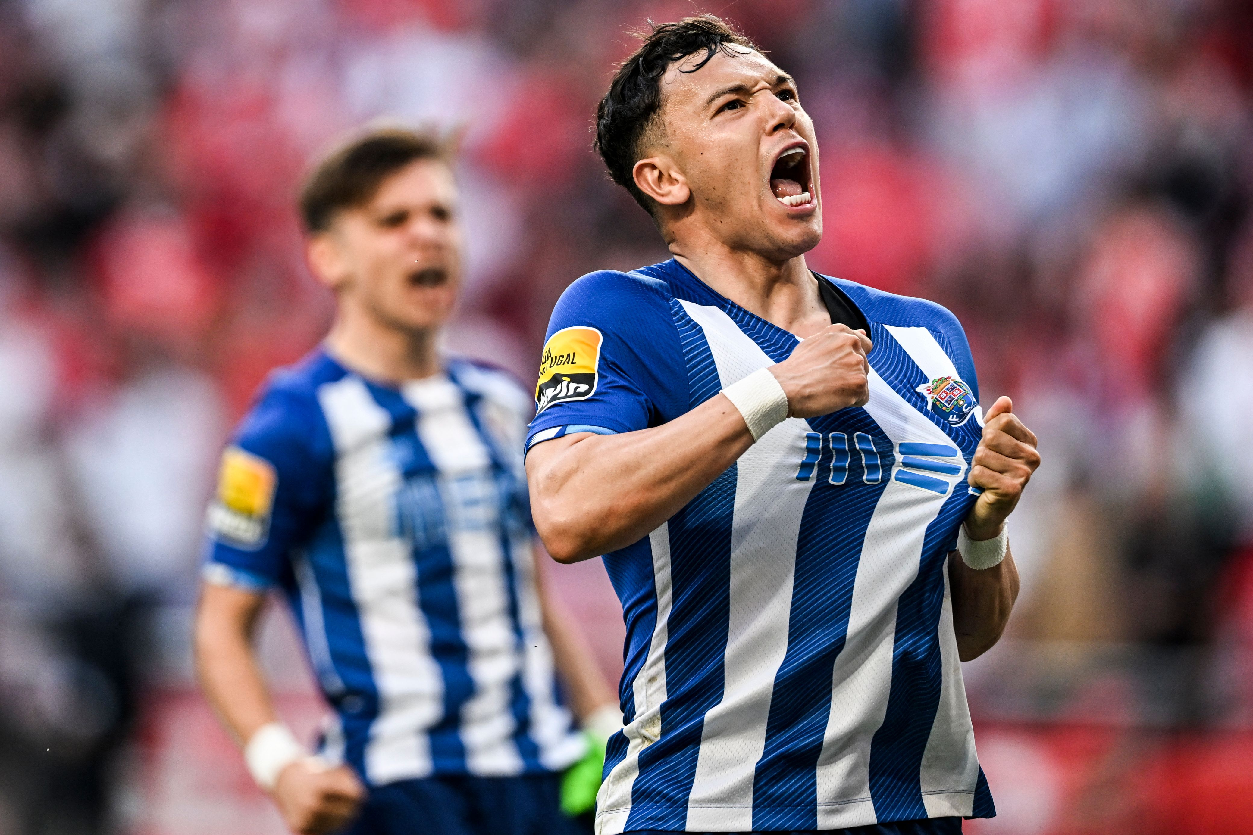 Pepe FC Porto Newcastle United