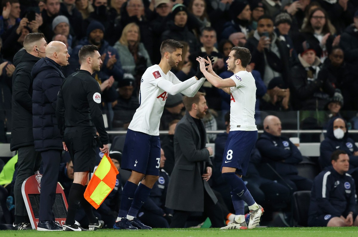 spurs brighton winks