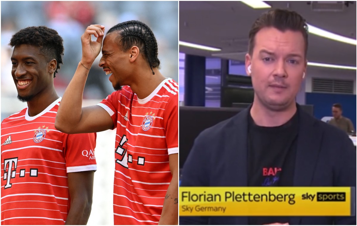 coman sane plettenberg