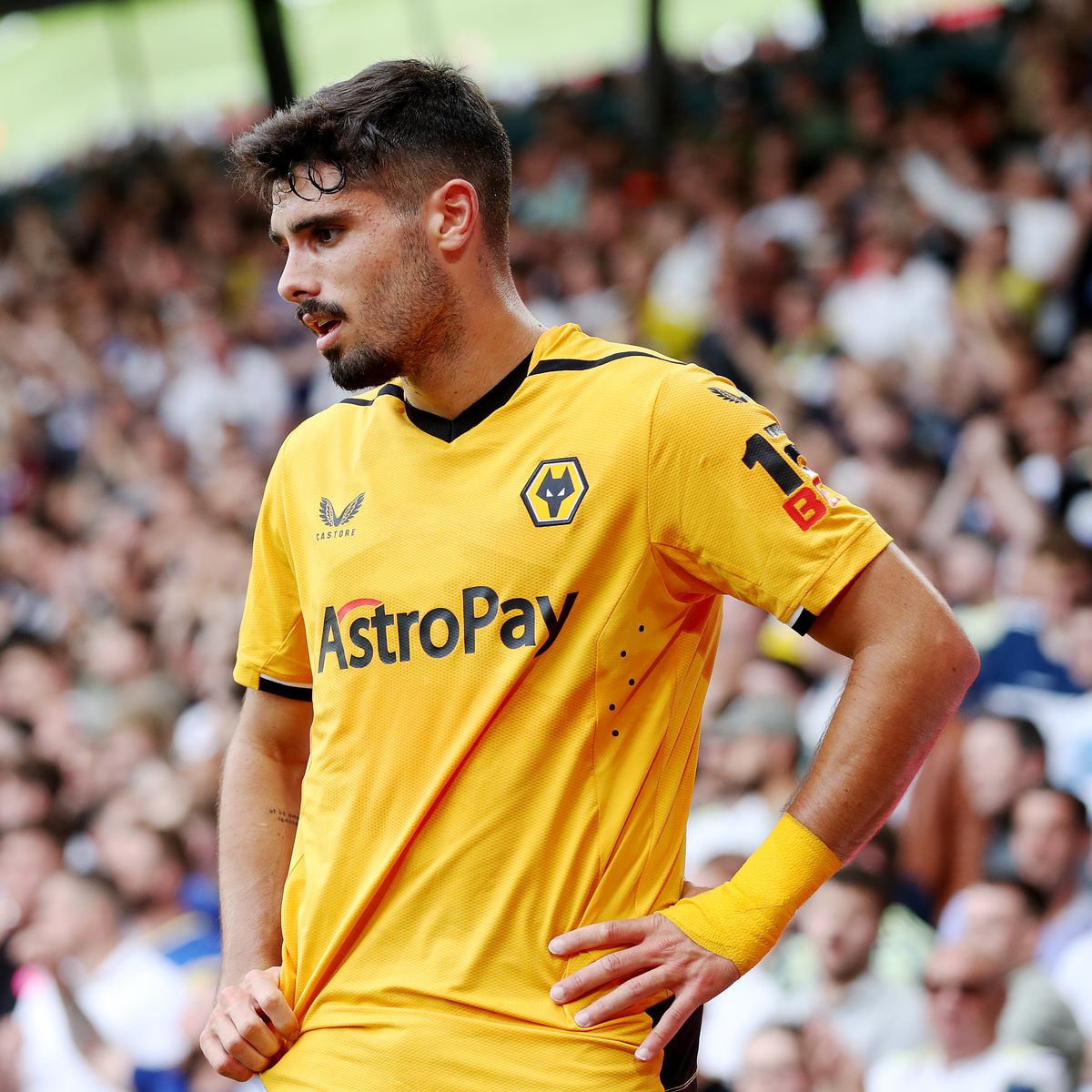neto wolves