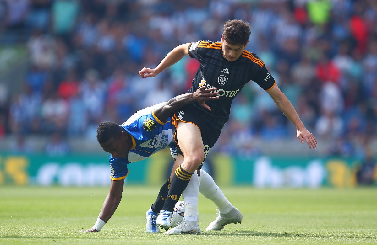 brighton leeds james