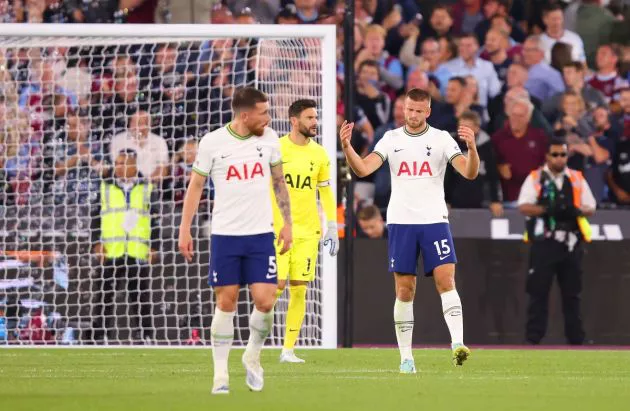 lloris hojbjerg dier